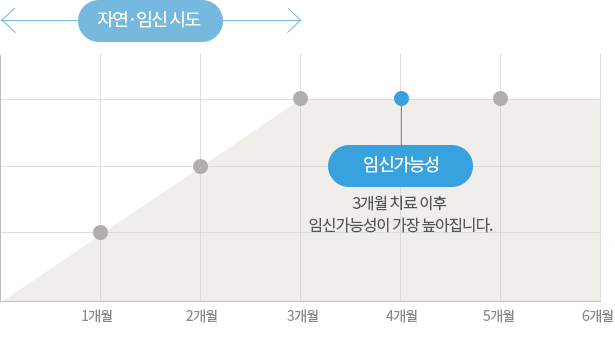 자연・임신 시도 임신가능성 3개월 치료 이후 임신가능성이 가장 높아집니다.