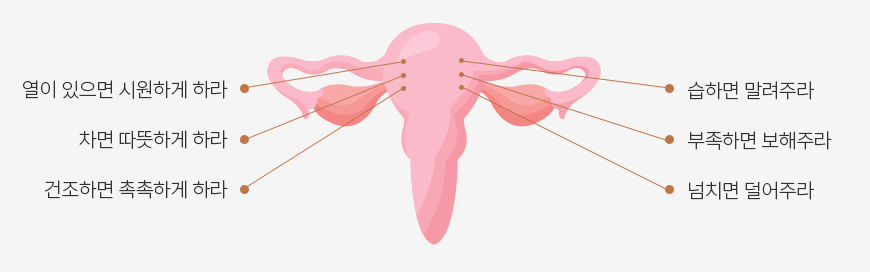 열이 있으면 시원하게 하라 습하면 말려주라 차면 따뜻하게 하라 부족하면 보해주라 건조하면 촉촉하게 하라 넘치면 덜어주라