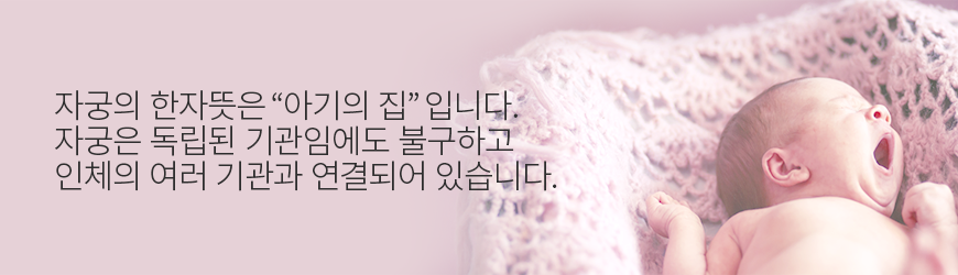 자궁의 한자뜻은 아기의 집 입니다. 자궁은 독립된 기관임에도 불구하고 인체의 여러 기관과 연결되어 있습니다.